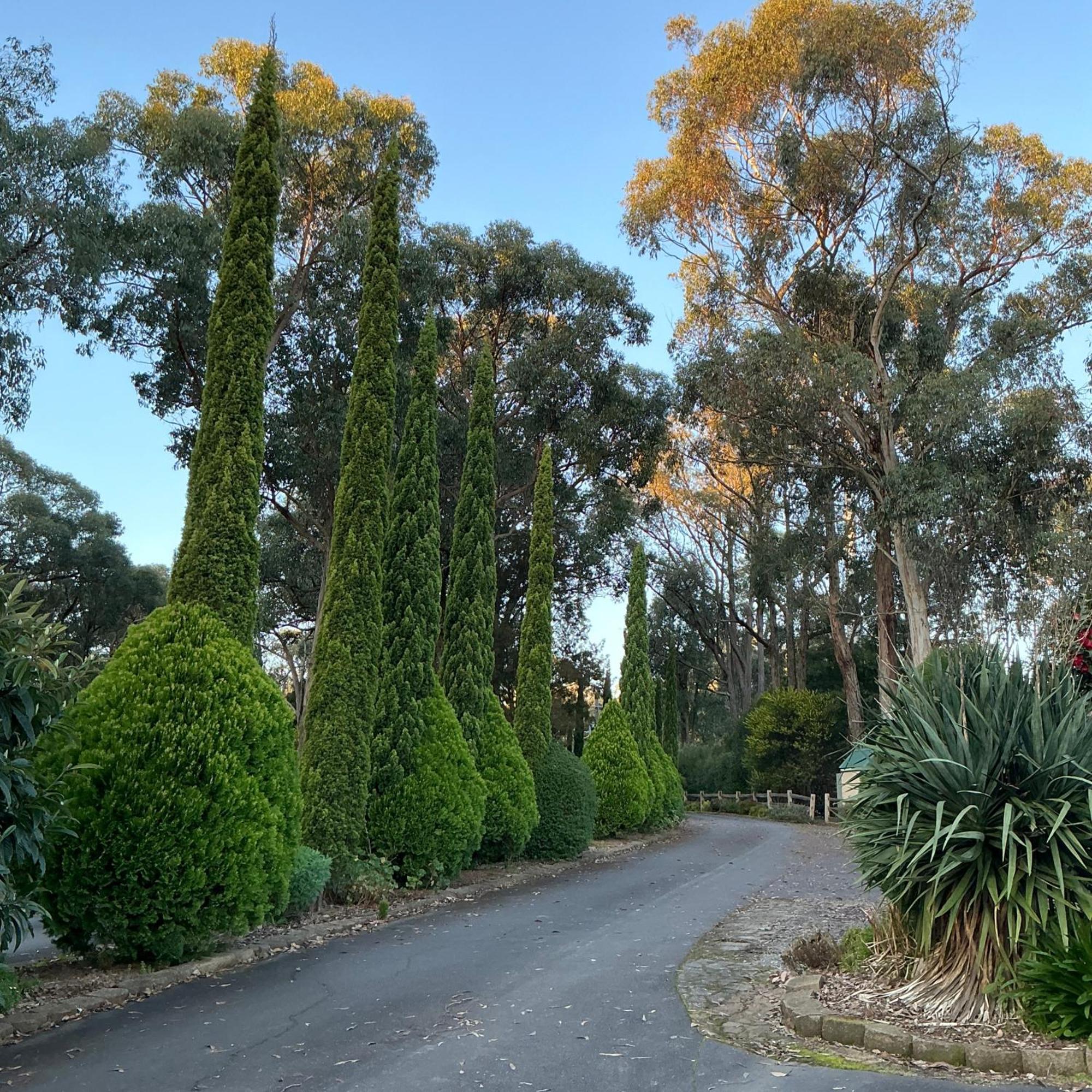 Sanctuary House Resort Motel Healesville Esterno foto